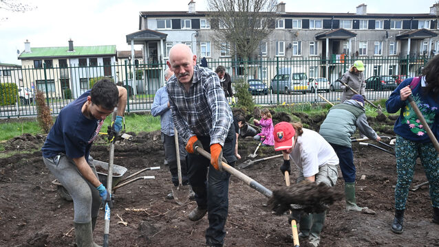 <p>Antonio Garcia from Spain, Patrick Hallinan and Cosimo De Matteis from Italy, help with digging a pond at Togher Community Garden, Clashduv Road. Picture: Larry Cummins</p>
