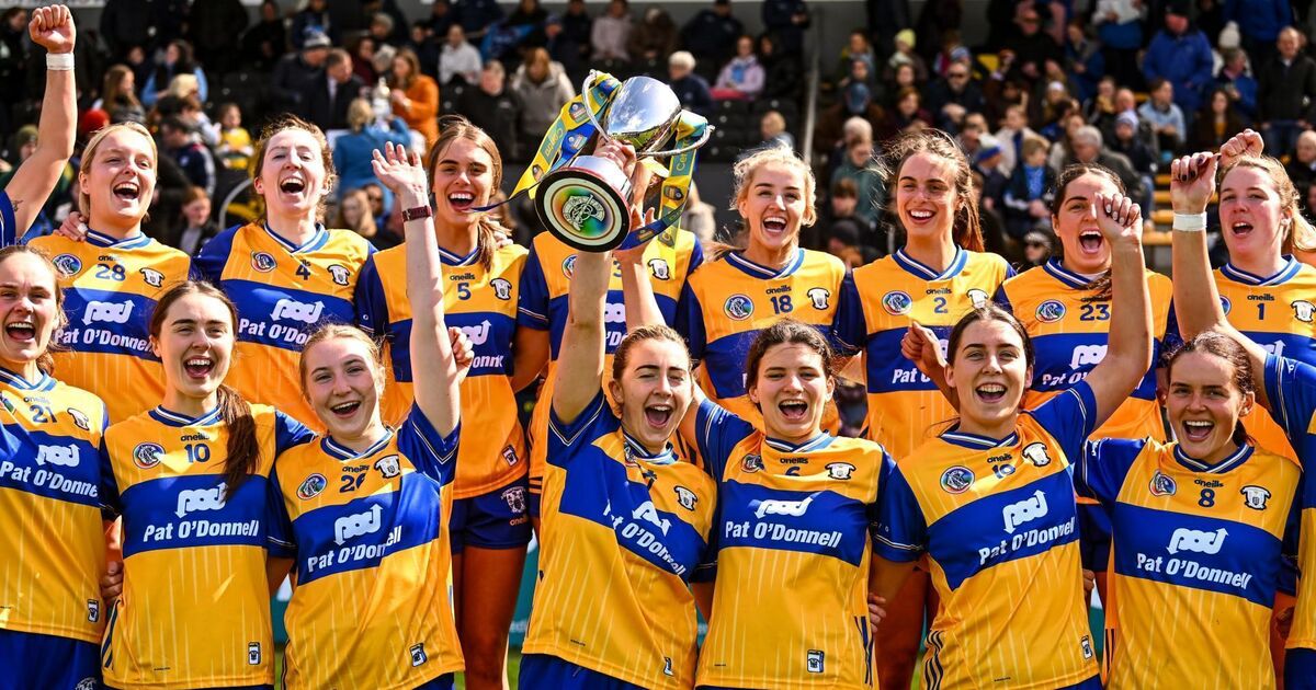 Second half goals the difference as Clare edge Dublin to land Camogie Division 1B league title