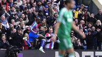 Crystal Palace v Newcastle United - Premier League - Selhurst Park