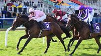 Pierre Bonnard flops but O’Brien still strikes in Ballysax at Leopardstown