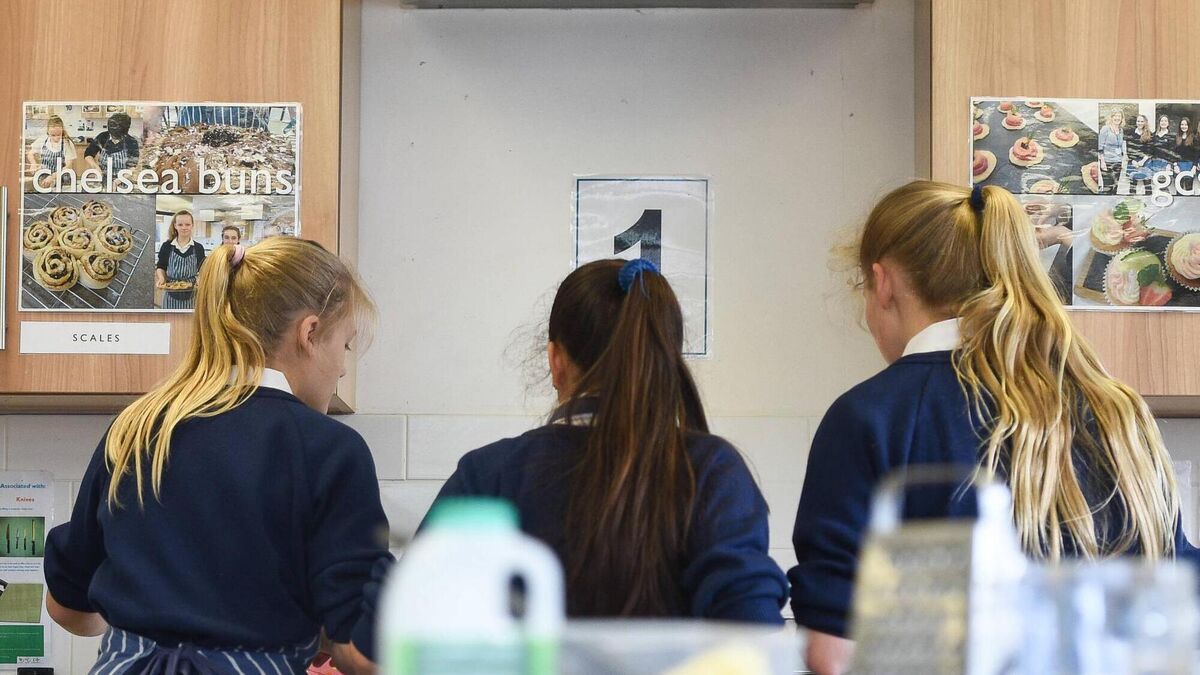 Leaving cert practicals deferred due to fuel protests