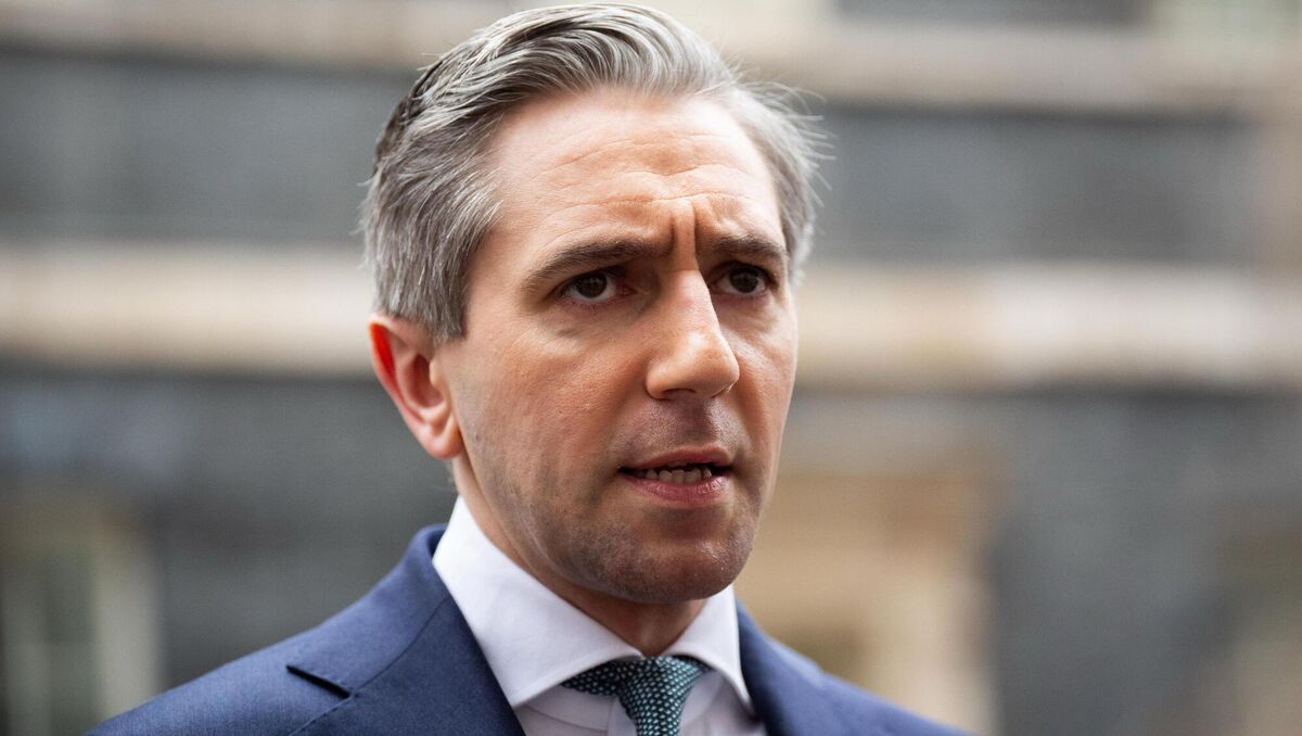Tanaiste Simon Harris. File Picture: James Manning/PA Wire Tanaiste Simon Harris. File Picture: James Manning/PA Wire