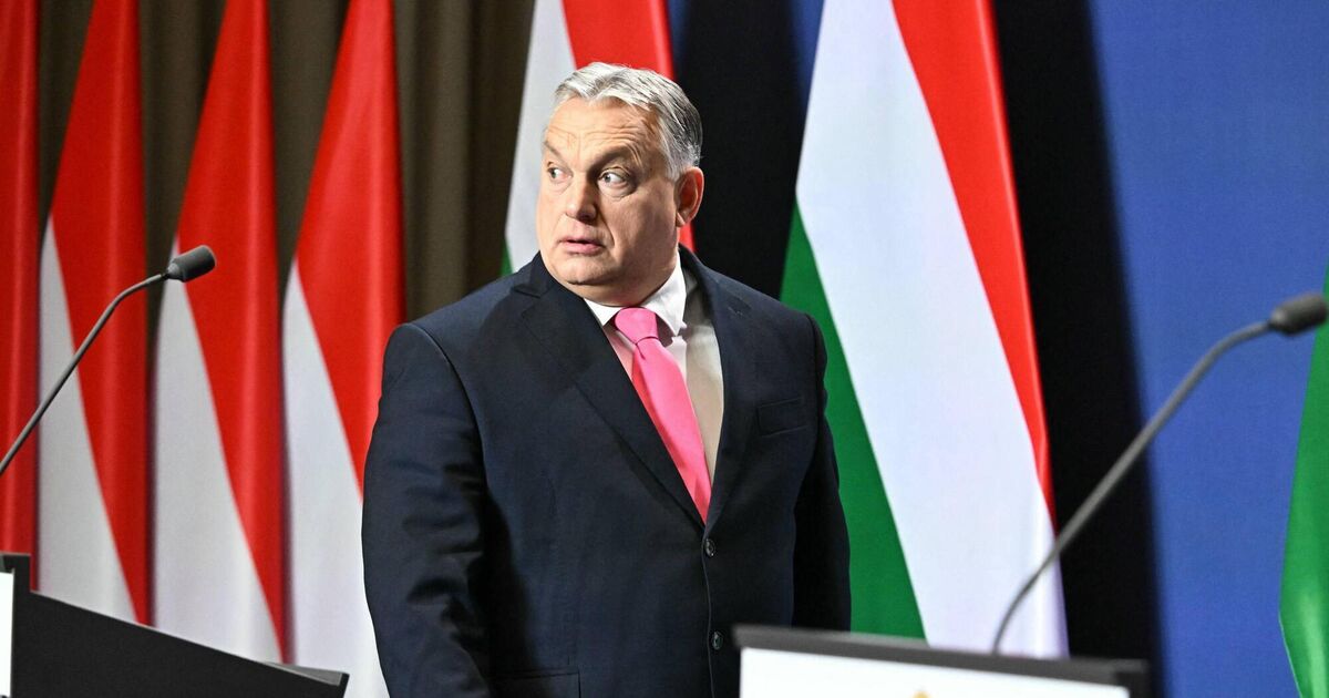 Hungary's Viktor Orban concedes landmark defeat to centre-right opposition