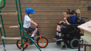 <p>'We have lived the reality of both late and early diagnosis. The difference is life-changing.' Liz McMahon's sons, Luke (8) and Sean (6) both have spinal muscular atrophy (SMA). File picture</p>