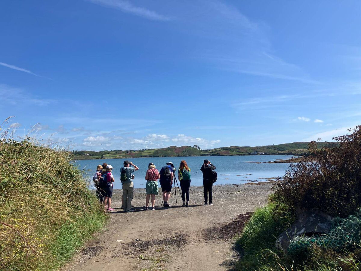 Standing for nature on Sherkin Island. Picture: Kerri Sonnenberg.