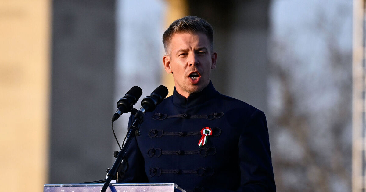 Who is Péter Magyar: Hungary’s next leader energised voters but is ‘a dark horse’