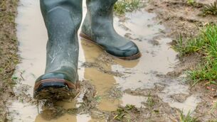 <p>'Biosecurity can sometimes be an afterthought on farms, but the decisions farmers make today can impact their operations and profits for years to come.'</p>