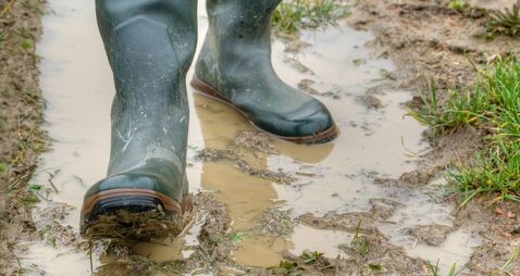 With rubber boots through the mud.