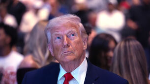 President Donald Trump (Julia Demaree Nikhinson/AP)