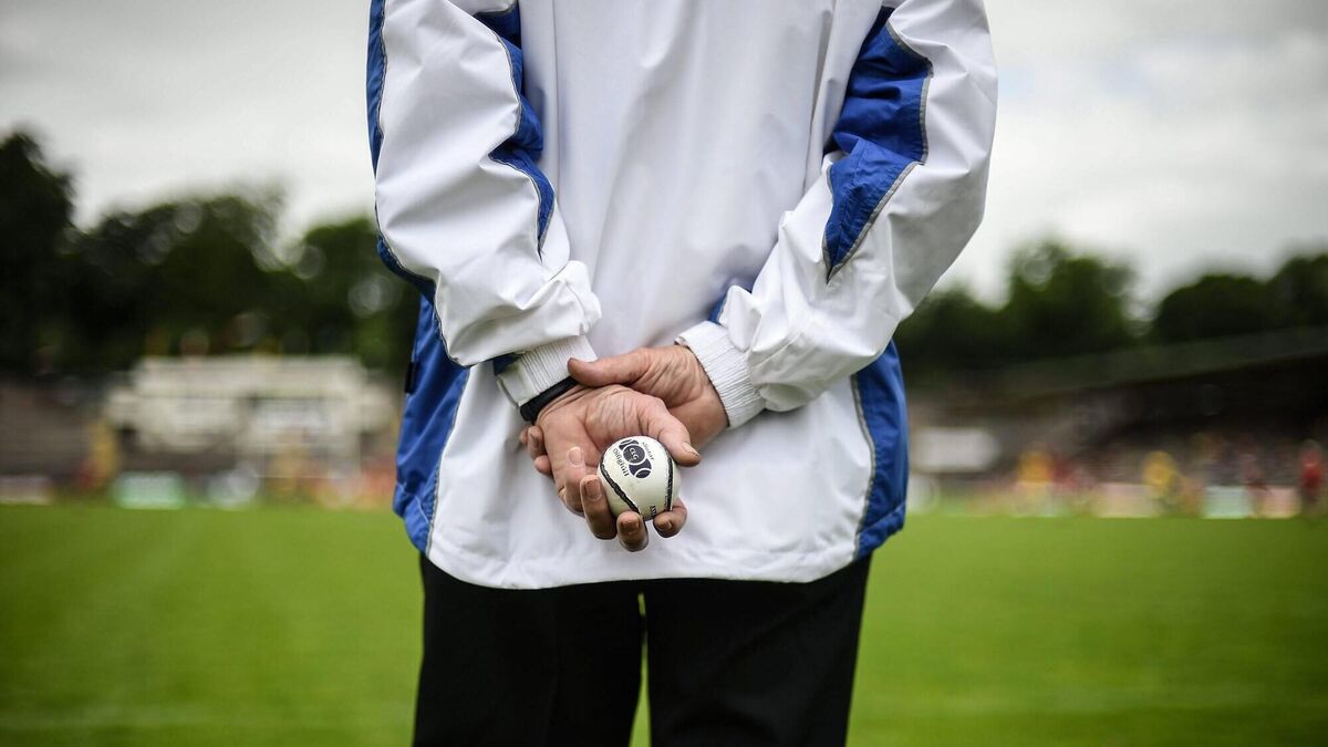 Father avoids jail after assaulting umpire at underage hurling match