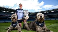Bord Gais Energy Senior Hurling Championships 2026 Launch