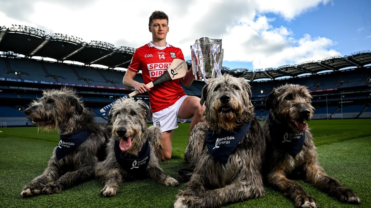 Cork's Alan Connolly: 'When we're at our best, I don't think anyone can beat us'