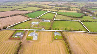 Brace of Kildare holdings totalling 49a going under the hammer