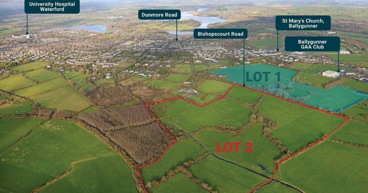 Waterford Land Auction Shatters Records: 78-Acre Holding Fetches €3.1M Amid Development Hopes