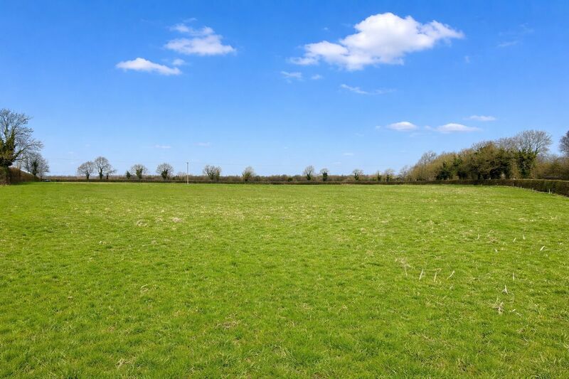 Some of the grassland at Clownings, Newbridge, Co Kildare.