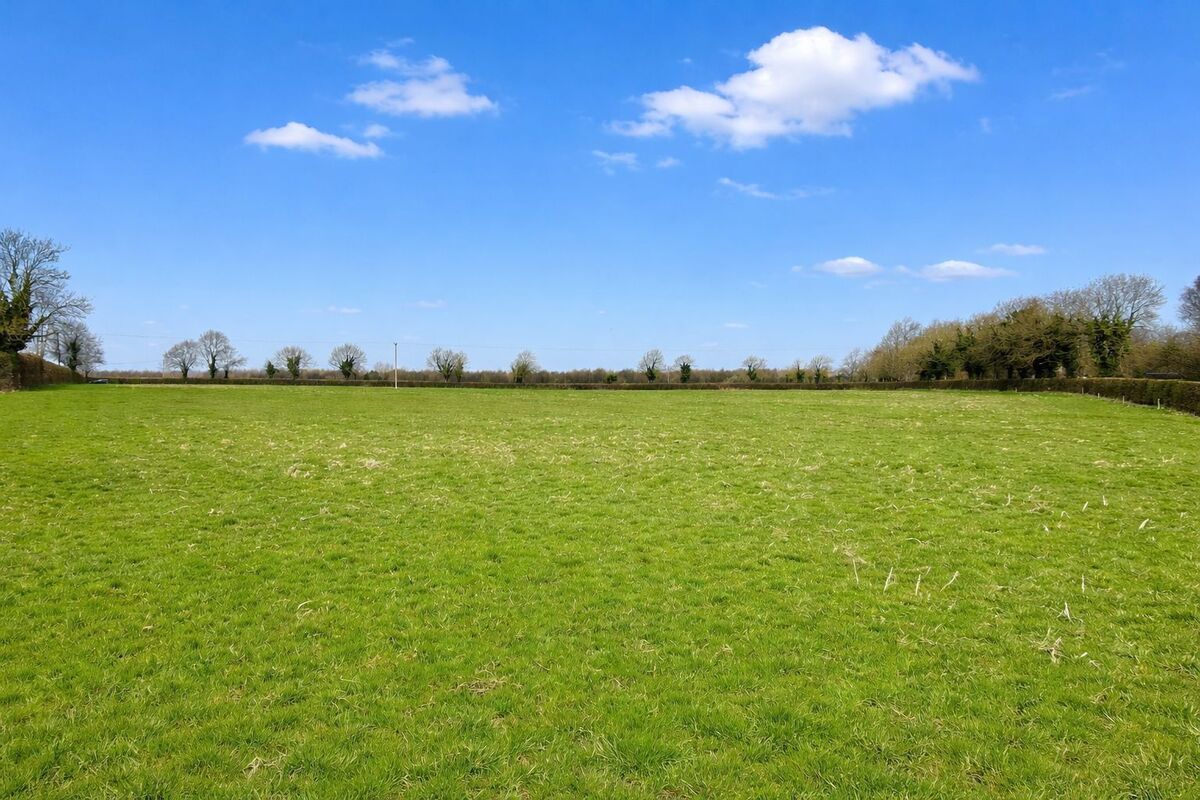 Some of the grassland at Clownings, Newbridge, Co Kildare.