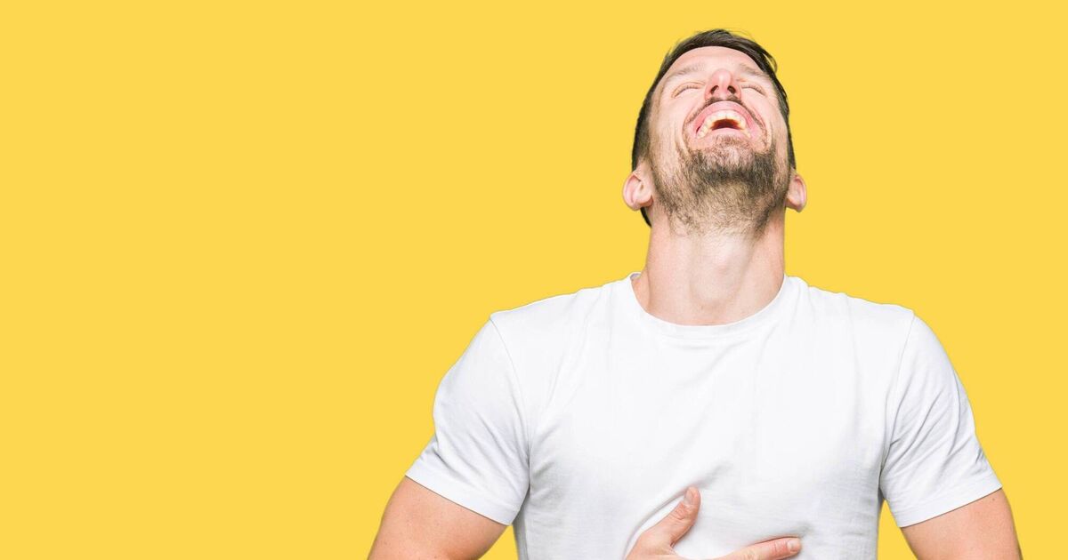 Bernard O'Shea — The Dad Bod Diaries: My five-step guide to taking yourself less seriously