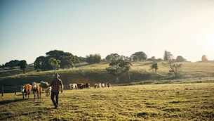 <p>Macra outlined the significant barriers currently facing young farmers, with particular emphasis on succession, access to land and access to finance.</p> <p>Macra outlined the significant barriers currently facing young farmers, with particular emphasis on succession, access to land and access to finance.</p>