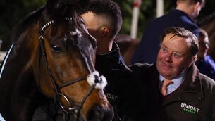 <p>FLAT OUT: Trainer, Nicky Henderson congratulates Constitution Hill after winning the Virgin Bet Novice Stakes at Kempton Park last month. Pic: Photo by Warren Little/Getty Images</p>