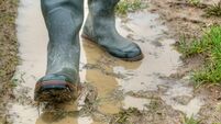 With rubber boots through the mud.