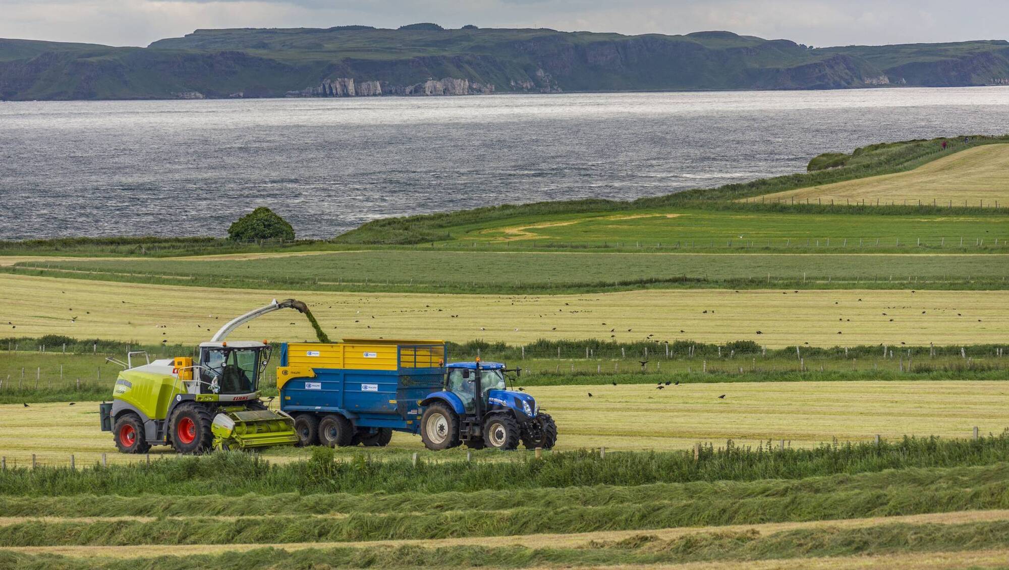 Making better silage in a difficult year: Key steps for 2026