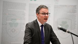 <p>One TD said Patrick O'Donovan (pictured) 'divides opinion everywhere'. File photo: David Fitzgerald/Sportsfile</p>