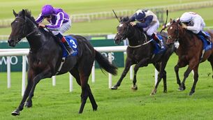 <p>Hawk Mountain won three of his four juvenile starts and was last seen striking Group One gold in the Futurity Trophy at Doncaster in October. File Pic: Healy Racing</p> <p>Hawk Mountain won three of his four juvenile starts and was last seen striking Group One gold in the Futurity Trophy at Doncaster in October. File Pic: Healy Racing</p>