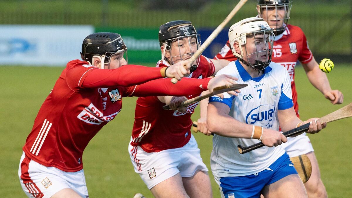 Cork's late surge secures win against Waterford in Munster U20HC