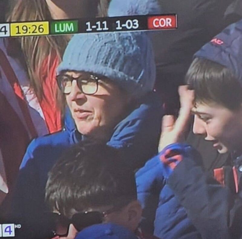 A shot of the crowd on TG4 during the Allianz League final.