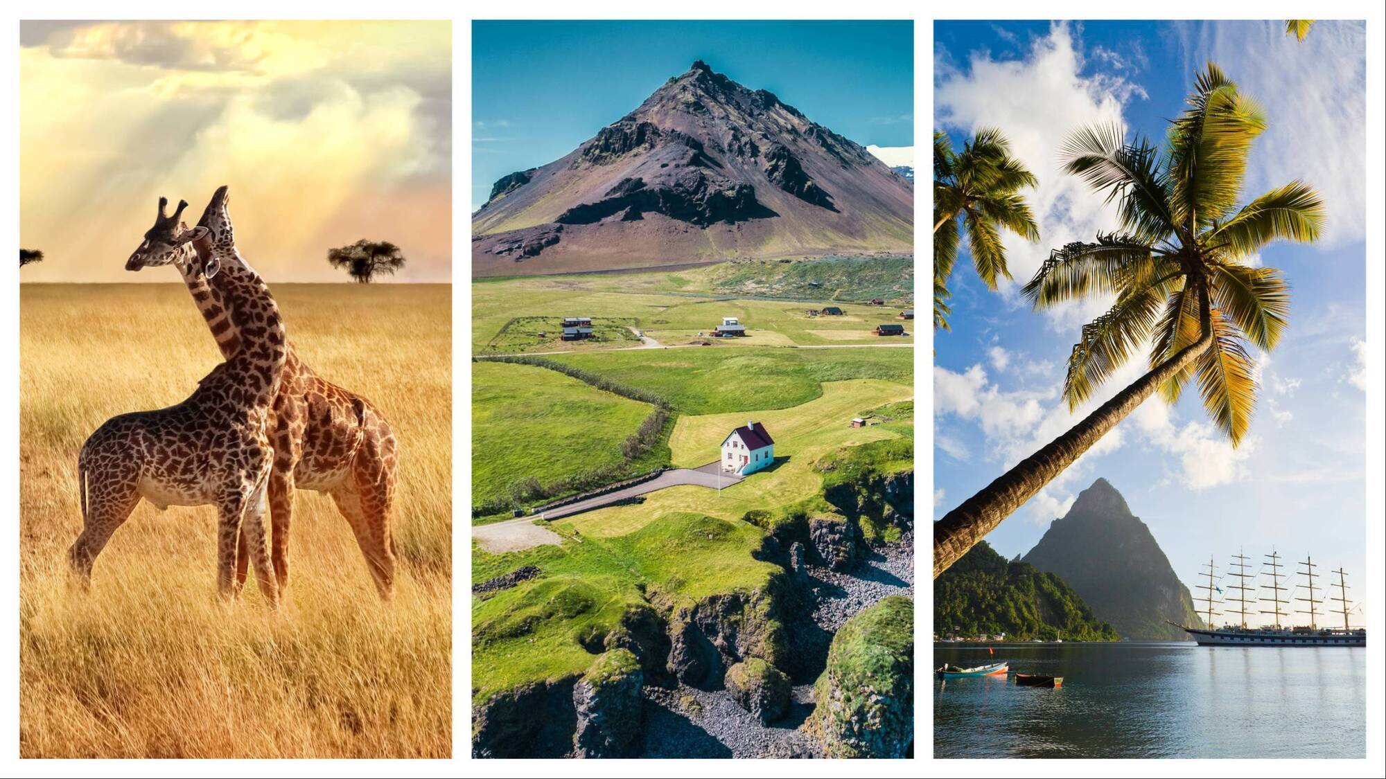 Departure lounge: African safari savings and Navigating the Nordic seas