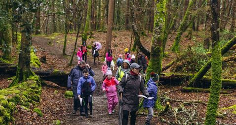 Everything you need to know about Wander Wild outdoor festival taking place in Killarney this weekend