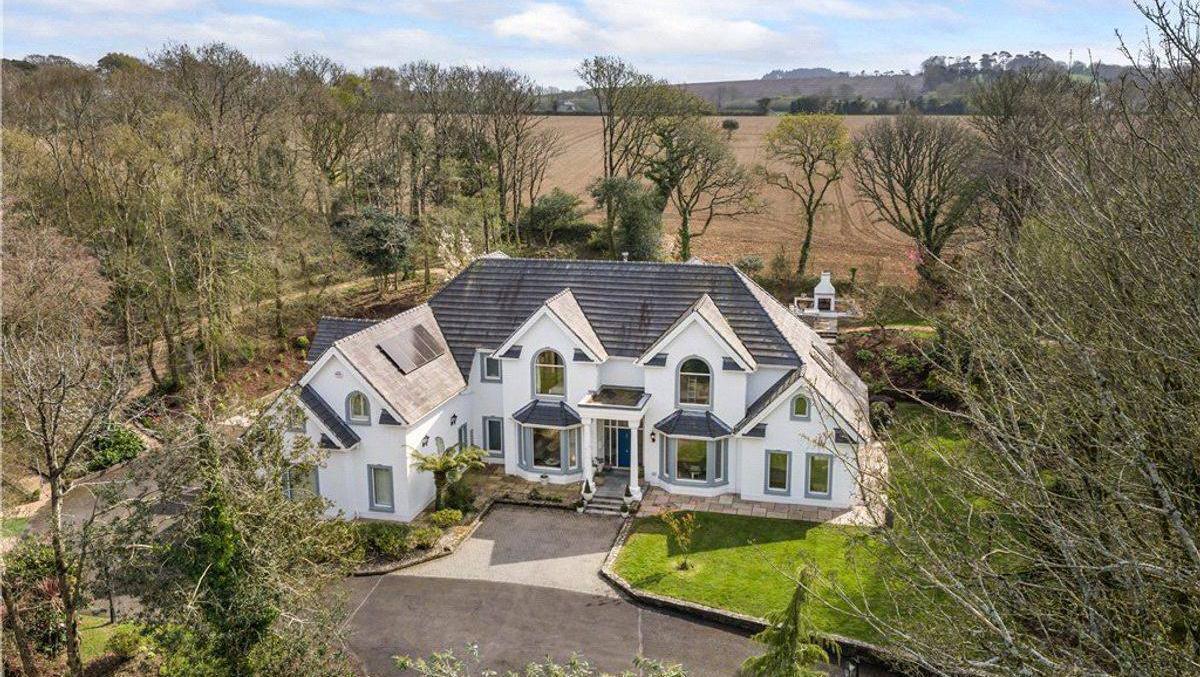Brookwood: 'Whopper' €1.595m Cork family home set in 78 acres of hidden woodland
