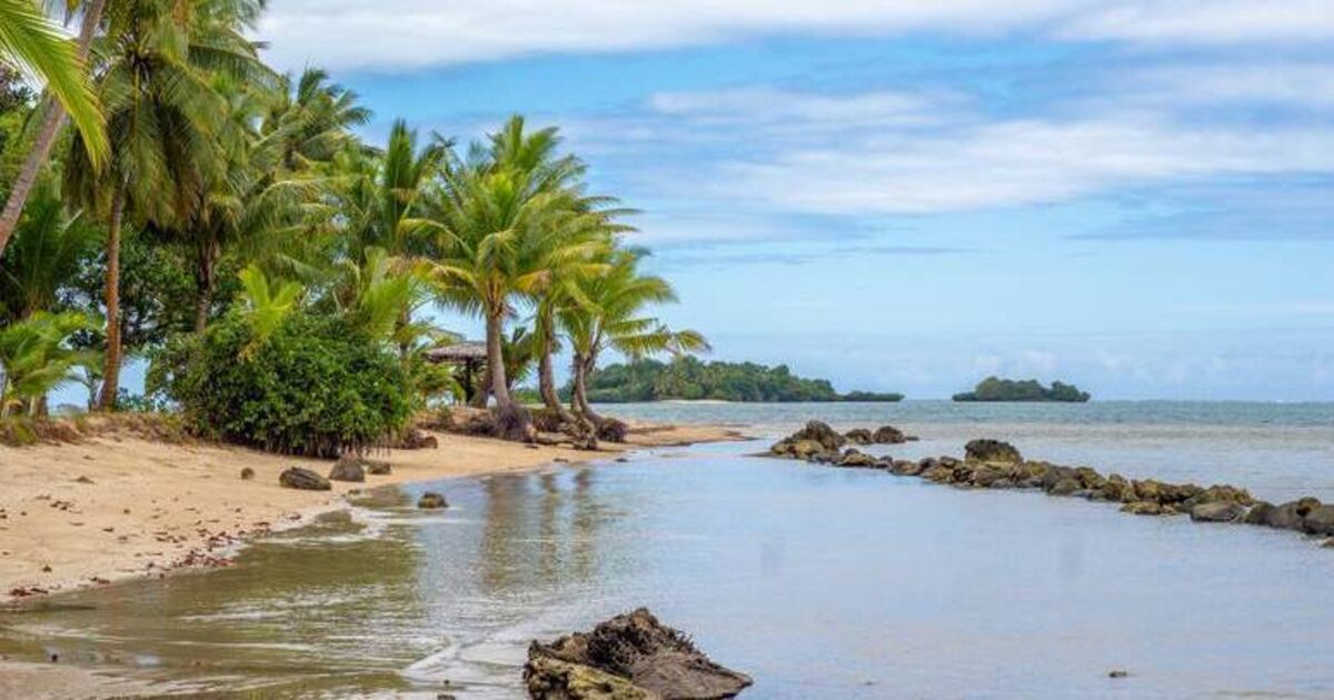 Michelle McKeown: An island in the Pacific built from ancient waste