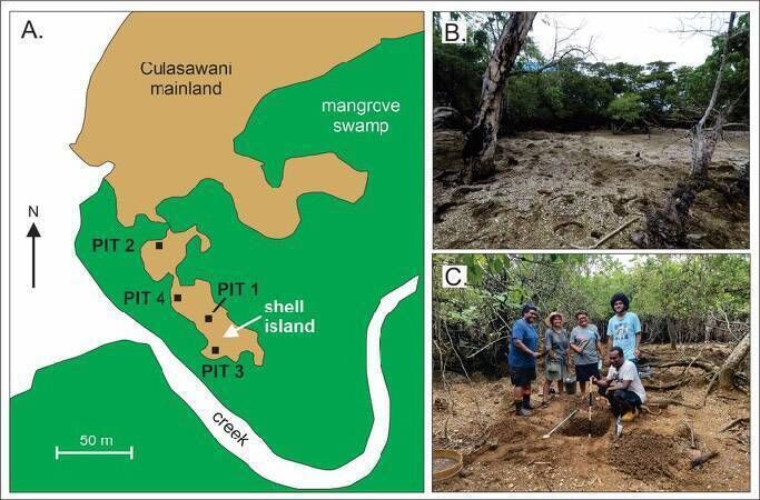 Picture A, above, details a map of the Culasawani shell island showing the locations of the four test pits, the creek and the adjoining mainland; picture B shows a general view of the surface of the Culasawani shell island; and picture C shows Pit 1 with members of the research team.	Pictures: Professor Patrick Nunn
                    
