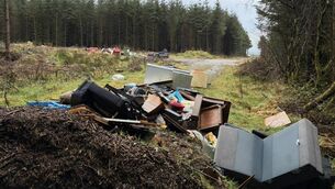 <p>Sean O'Riordan's article on 'fly-tipping' in Cork — otherwise known as illegal dumping — prompted reader Tadhg O’Donovan to contact the Irish Examiner. File picture</p>