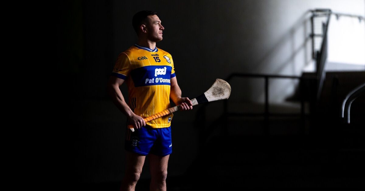 All about the Banner friendships for sentimental Reidy