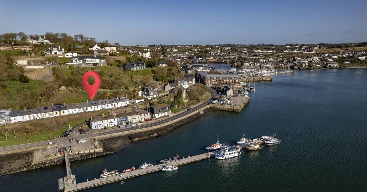 Worlds End cottage a front-row seat to sunrise show starring dolphins and seals