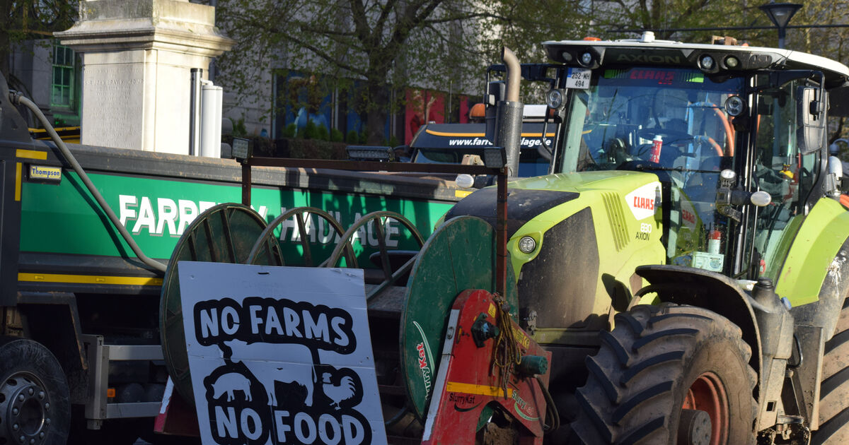 IMF warns EU not to shield consumers and businesses from energy price spike 