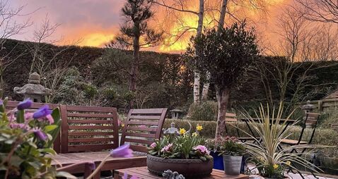 Peter Dowdall: How screening adds a new dimension to the garden 