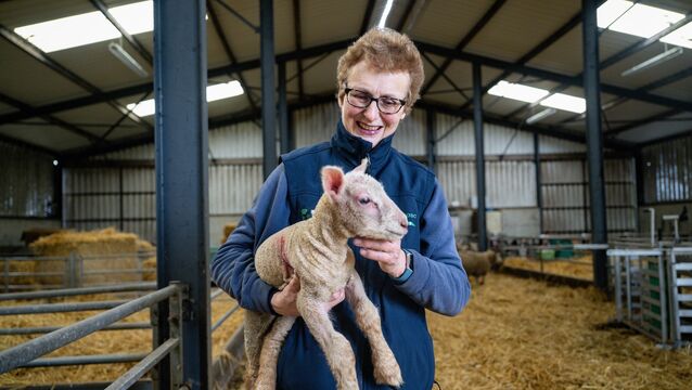 <p>Kay O’Sullivan pictured with a day-old lamb in the sheep barn at her organic farm, Glynn Farm, near Mallow. Picture: Chani Anderson</p>