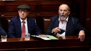 <p>Brothers and Independent TDs for Kerry Michael Healy Rae and Danny Healy Rae in Dáil Éireann on April 9 2024 after the nomination of Simon Harris as then taoiseach. Picture: Maxwell's </p>
