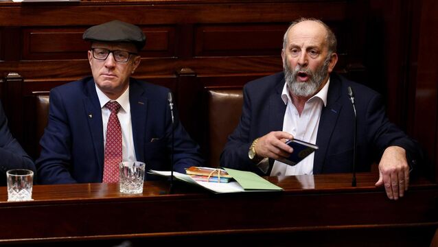 <p>Brothers and Independent TDs for Kerry Michael Healy Rae and Danny Healy Rae in Dáil Éireann on April 9 2024 after the nomination of Simon Harris as then taoiseach. Picture: Maxwell's </p>