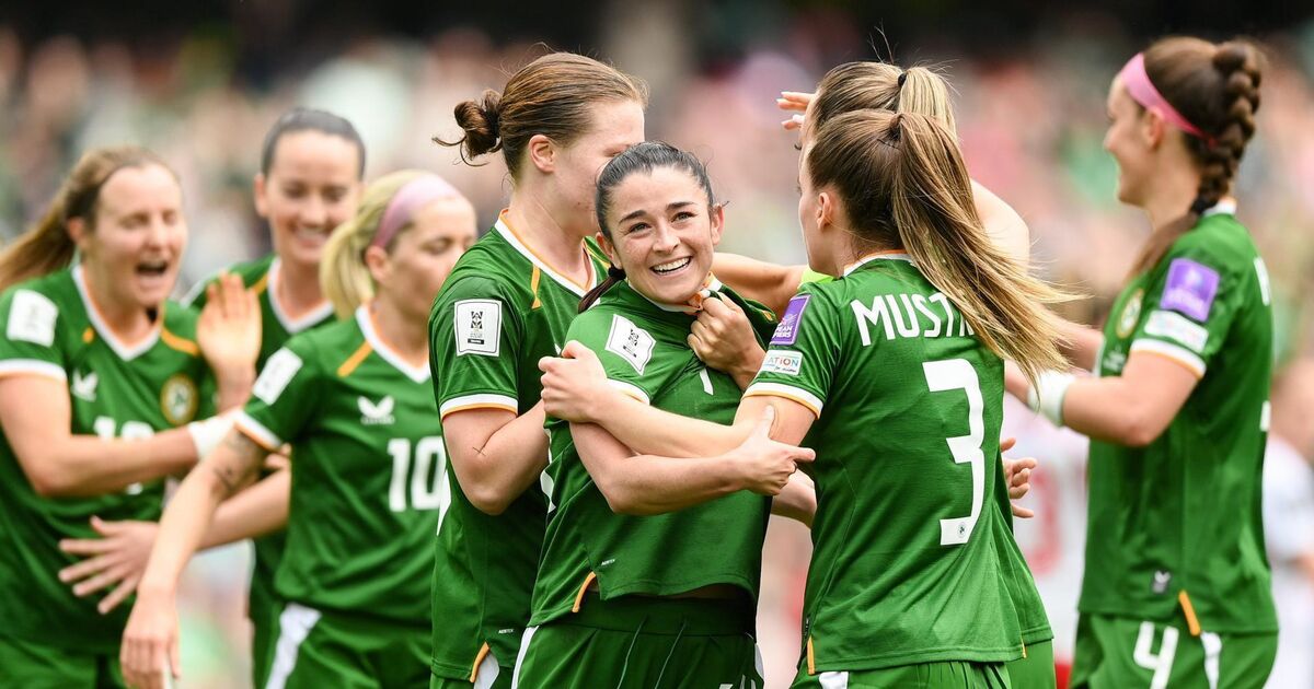 Ireland smooth path to Brazil World Cup by completing double over Poland