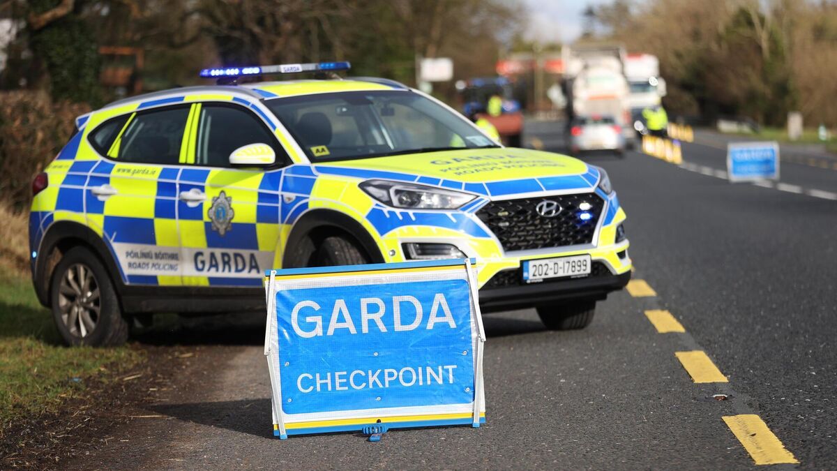 Drink-driving arrests 'tiny fraction' of amount of people who admit to it, says Alcohol Action Ireland