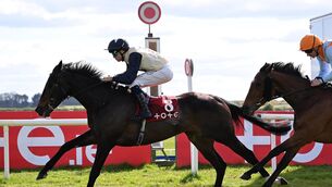 <p>Starford and Scott McCullagh win for trainer Joseph O'Brien. Pic: Healy Racing.</p>