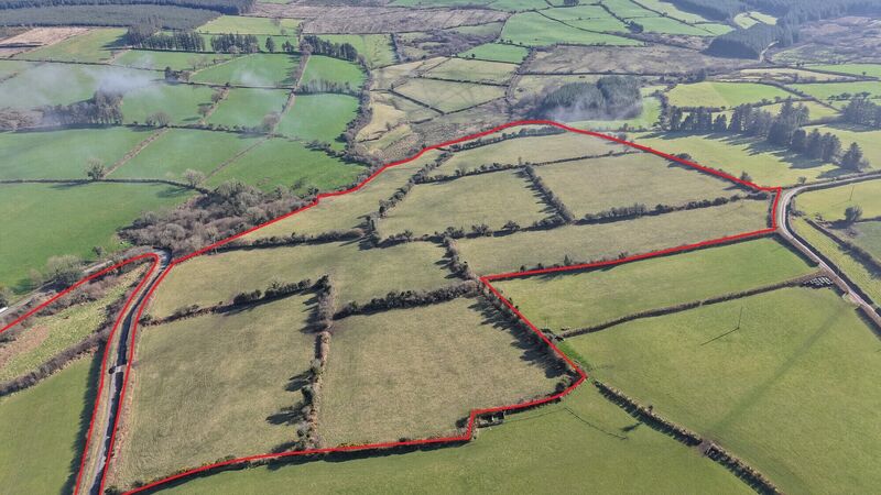 Auction sales continue in Tipperary and Waterford