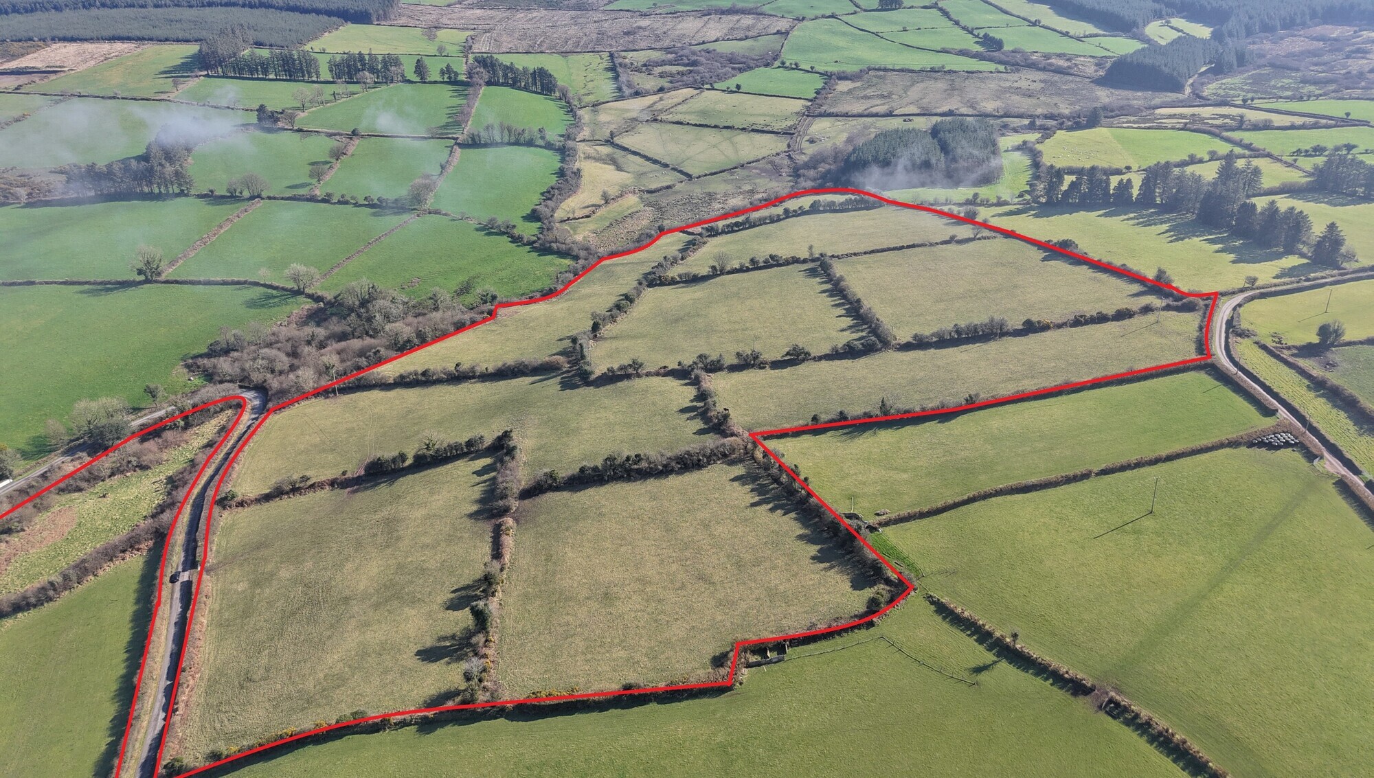 The 26-acre farm at Knockavannia, Ballymacarbry, coming up for public auction.