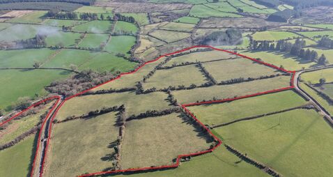 Auction sales continue in Tipperary and Waterford