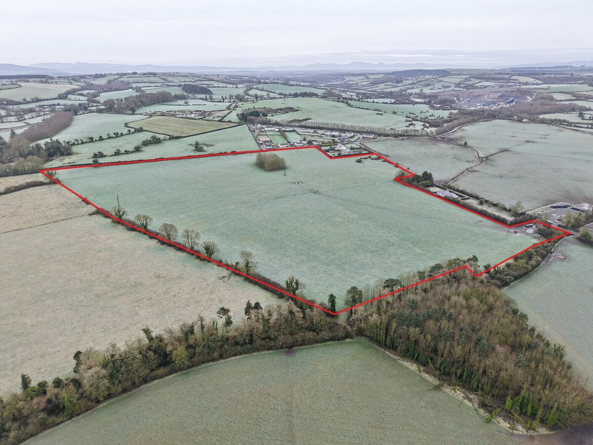 The 30-acre farm in Killenaule sold immediately after auction in Clonmel recently.