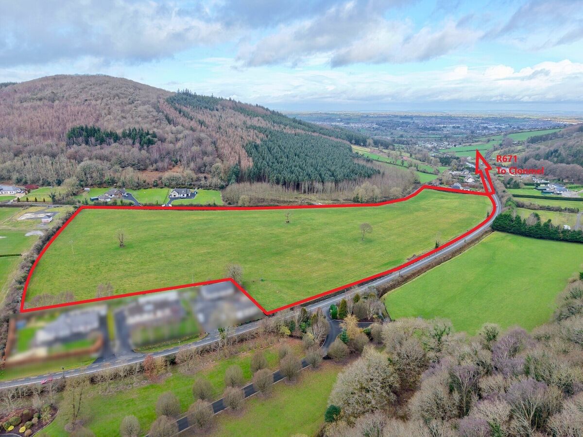 The 17.2-acre farm at Kilmacomma sold at auction in Clonmel.
